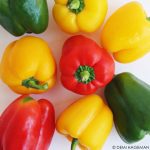 Seizoensgroenten van augustus: komkommer, paprika en maïs